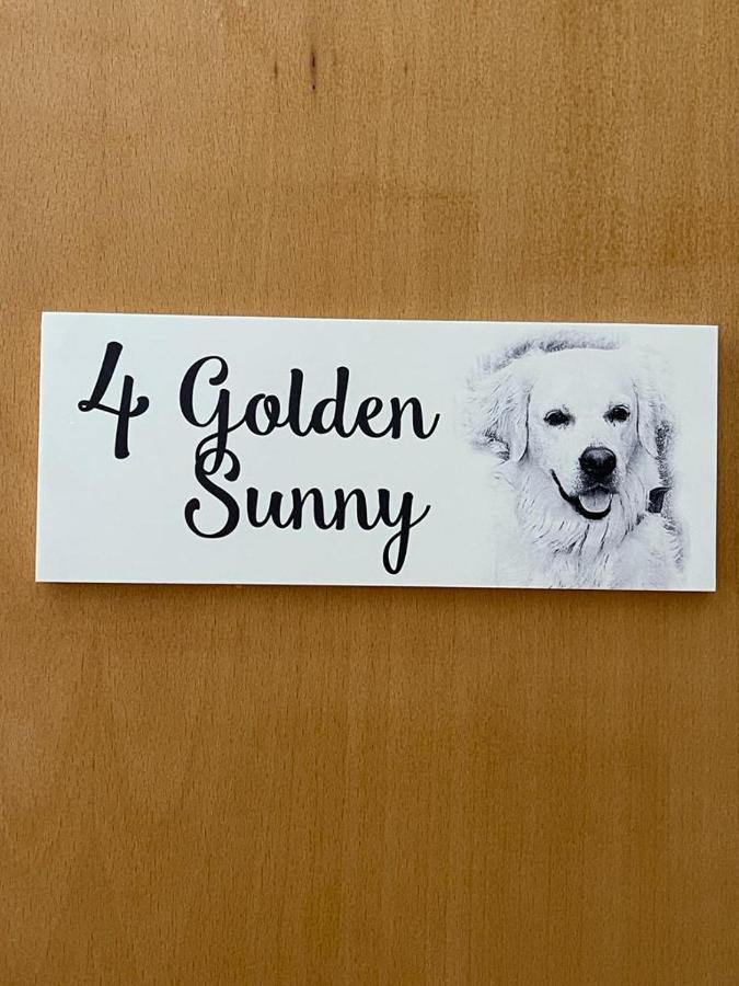 Sunny, The House - Al Vandrerhjem FAO Rom bilde